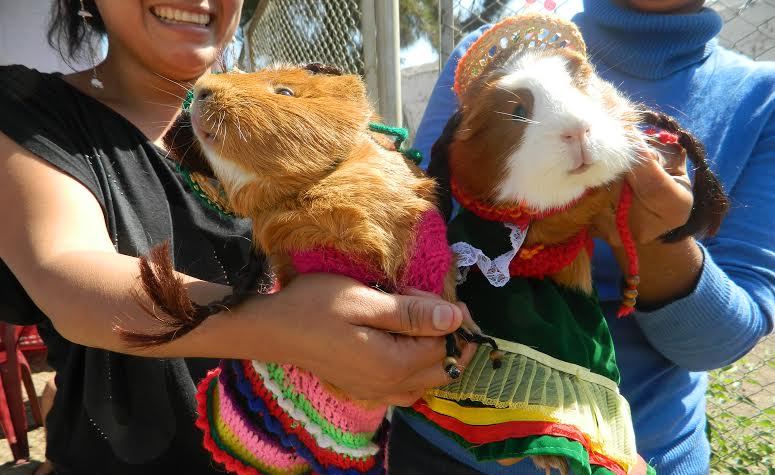 Moro: Municipio financia proyectos productivos de tres asociaciones