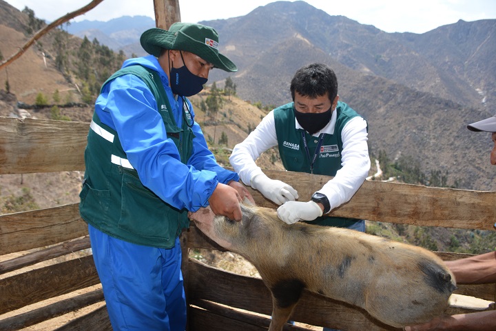 Senasa desarrolla jornada cívica en resguardo de la ganadería familiar de Ancash