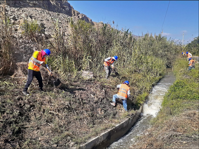 Minagri genera más de 5 mil jornales de trabajo en el valle del Santa