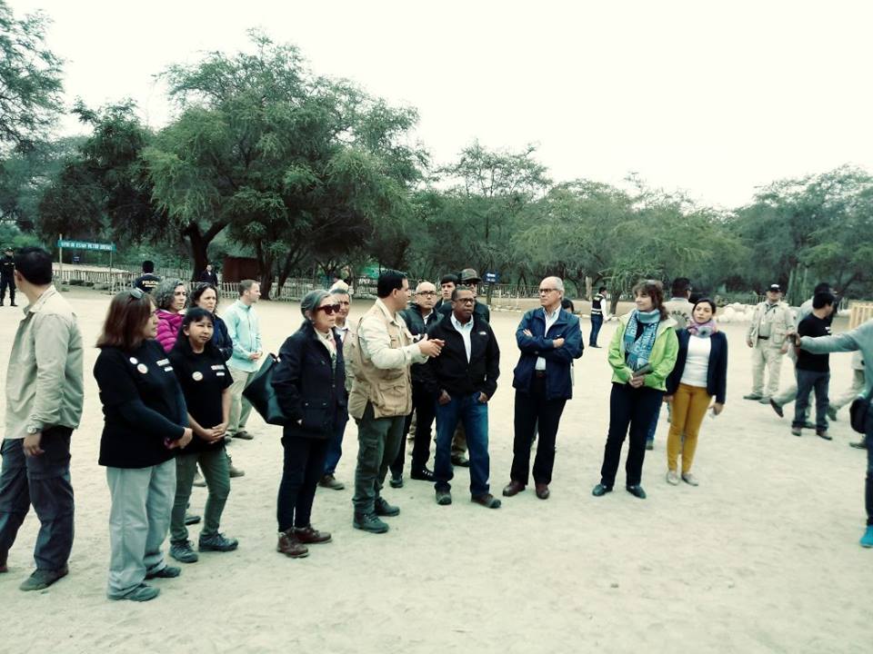 Viceministro de Cultura y embajadores de EE.UU y Canadá visitan zonas arqueológicas de Casma