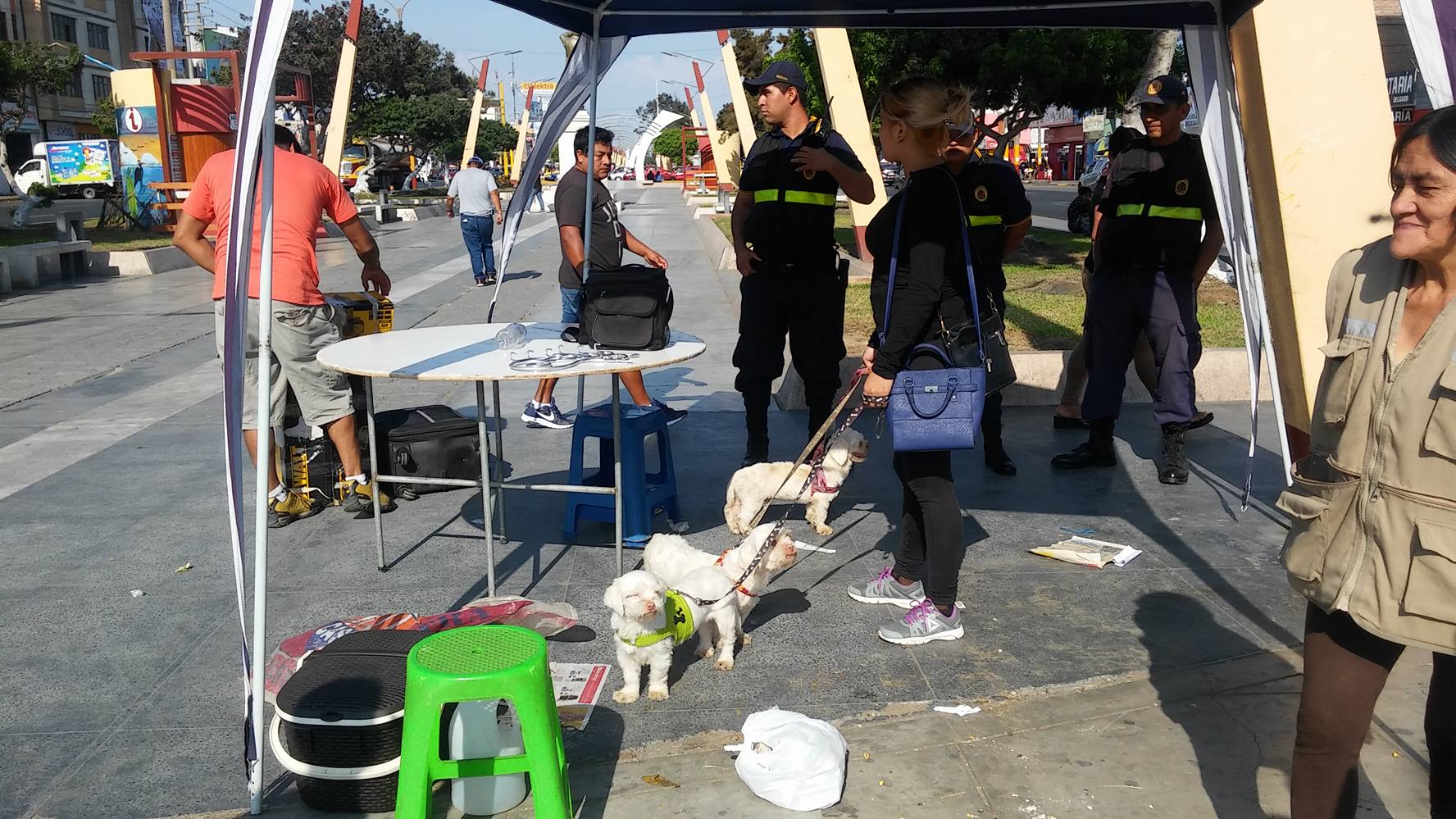 Falta dar en adopción siete perros rescatados por la Municipalidad de Nuevo Chimbote