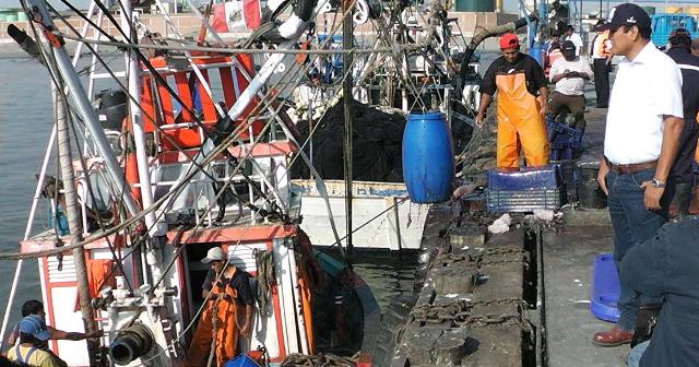 Chimbote: puerto pesquero con mayor descarga de anchoveta en el litoral peruano