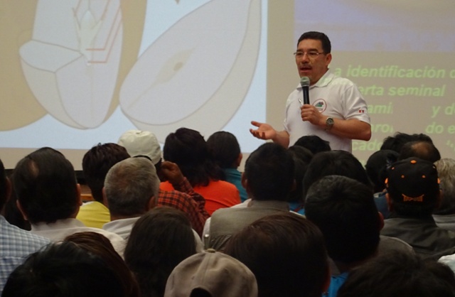 Moro: especialistas ofrecieron charla con productores de palta para exportación