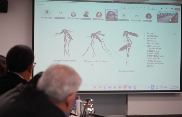 Perú y OPS coordinan respuesta conjunta ante casos de fiebre amarilla