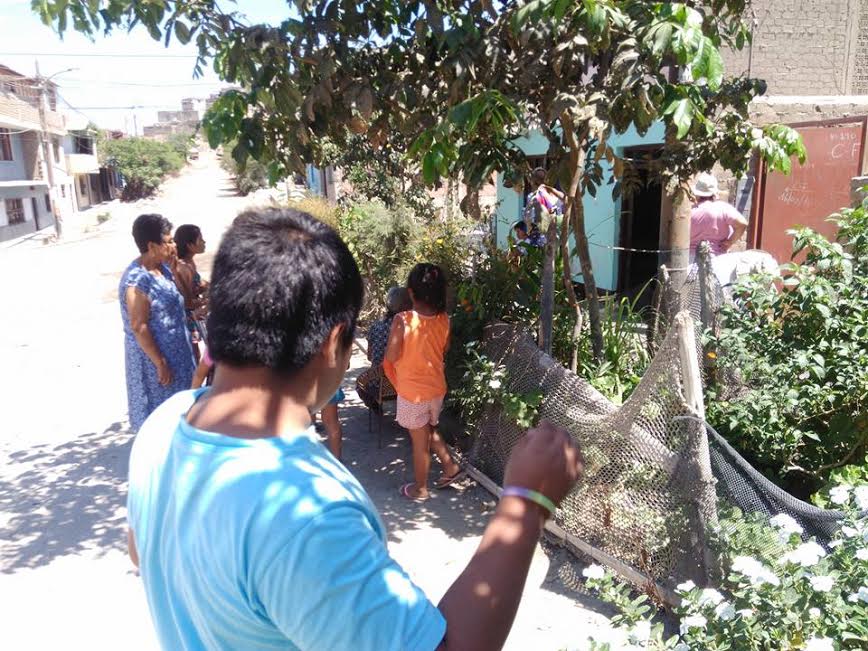 Chimbote: recomiendan limpieza total en las viviendas para evitar proliferación de moscas 