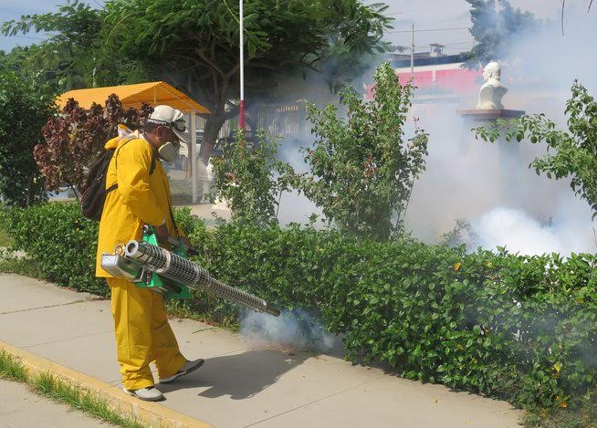  Red de Salud Norte y municipalidades se unen para combatir la proliferación de mosquitos