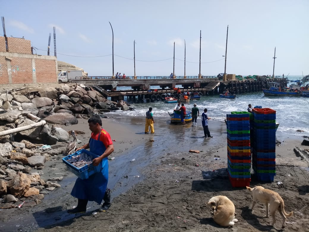 Culebras: muelle artesanal requiere urgente plan de contingencia para labores de pesca  