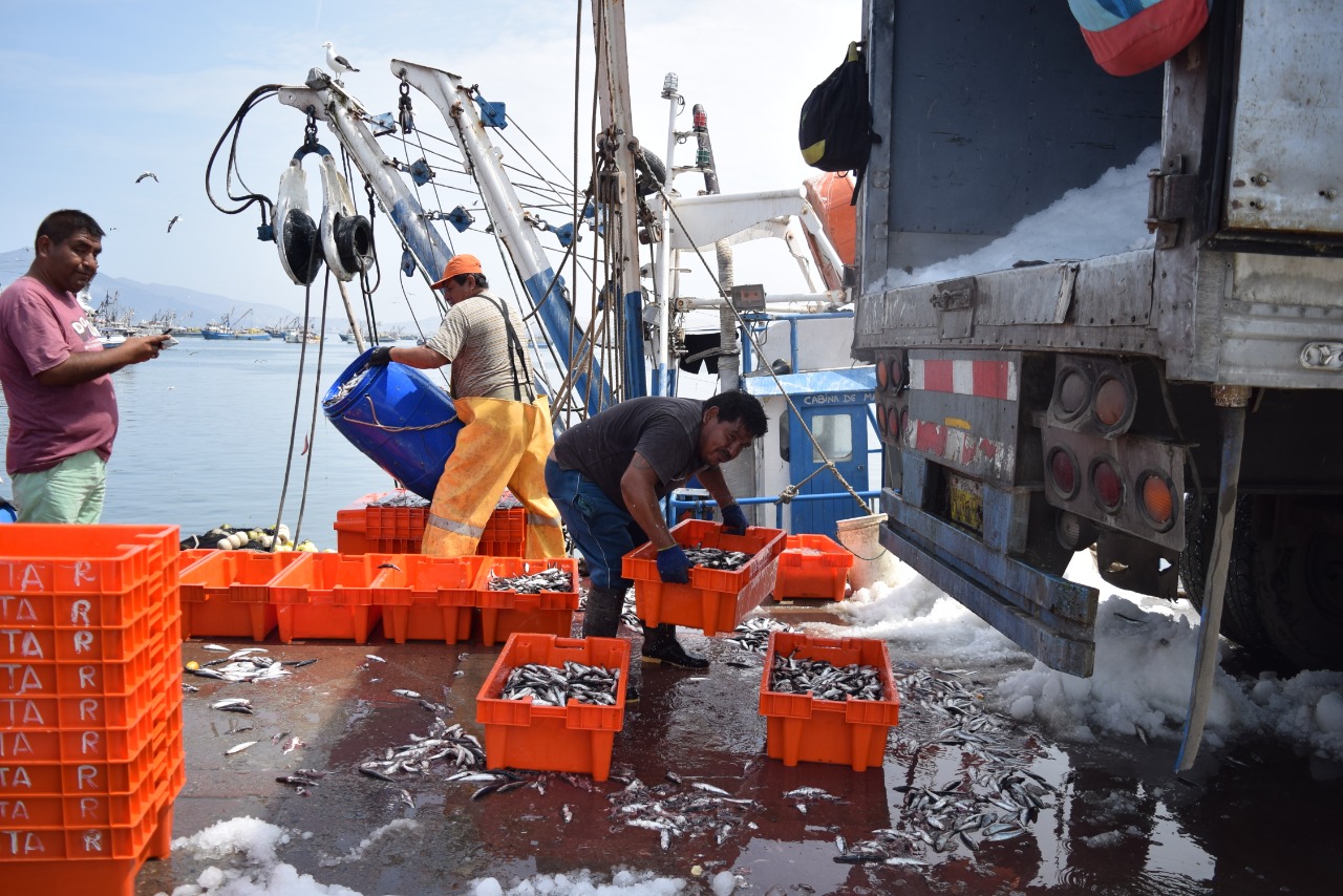 Chimbote: verifican condiciones de muelles Municipal y Gildemeister a fin de realizar mejoras