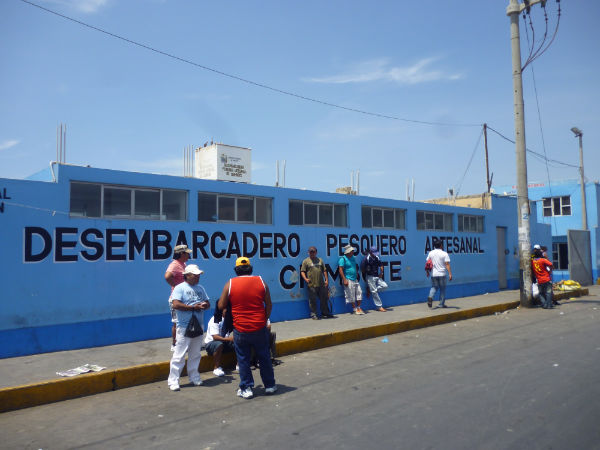 Desembarcaderos pesqueros artesanales serán modernizados