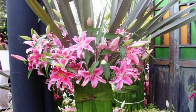 Hoy inicia la 5ta Exposición Estándar de Flores organizada por Floralíes