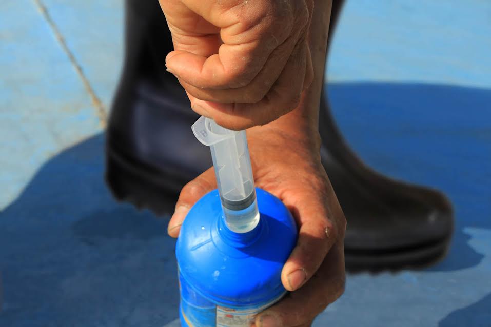 Casma: municipio aclara que agua distribuida en “Villa Hermosa” es apta para consumo