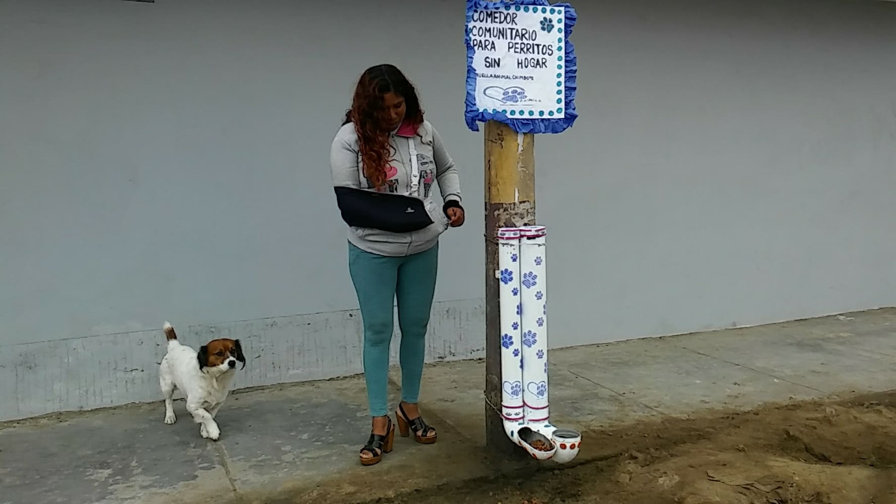 Chimbote: Instalan primer comedero para perritos callejeros por “Pampa del Hambre”