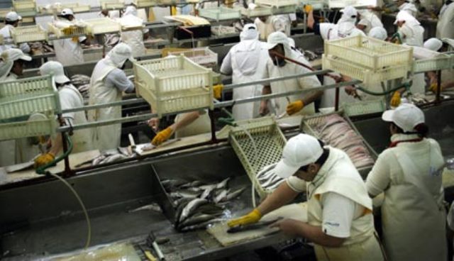  Ancash: Mujeres siguen siendo discriminadas laboralmente