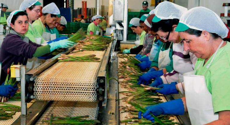 Empleo formal de las mujeres en el sector privado creció en 4,0% en el 2019