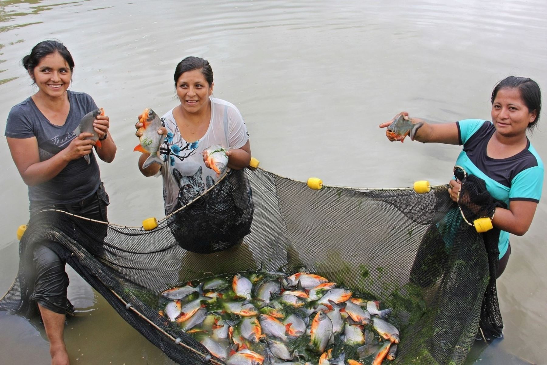 Mujeres rurales gestionan inversiones por casi S/ 200 millones en núcleos ejecutores