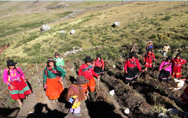Se incrementa participación de mujeres a fuerza laboral agrícola formal