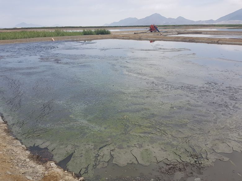 Multan con 30 UIT a Sedachimbote por mantener en condiciones inadecuadas plantas de tratamiento de aguas residuales