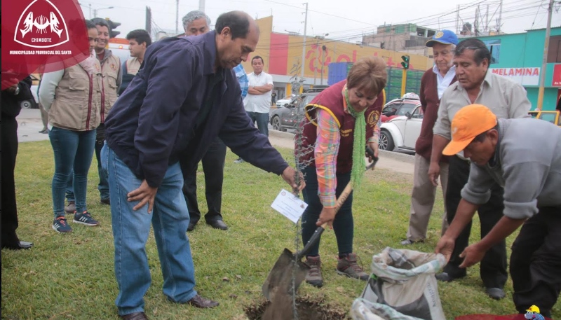 Municipio inicia sembrado de árboles en avenida Pardo