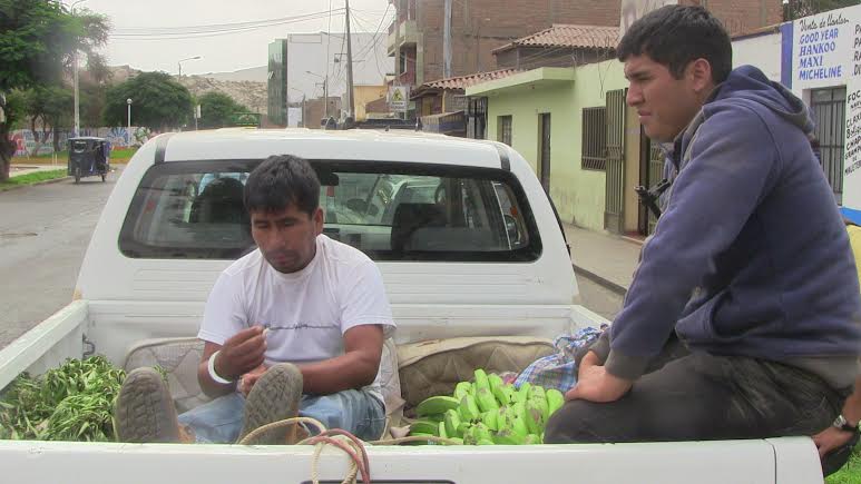 Casma: Capturan a cinco presuntos narcos e incineran una hectárea de sembríos de marihuana 