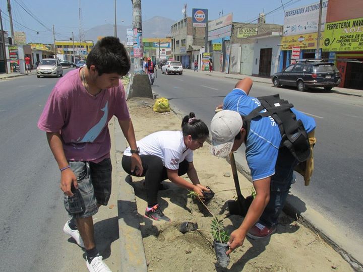 Exitosa campaña de forestación se desarrolla en Chimbote