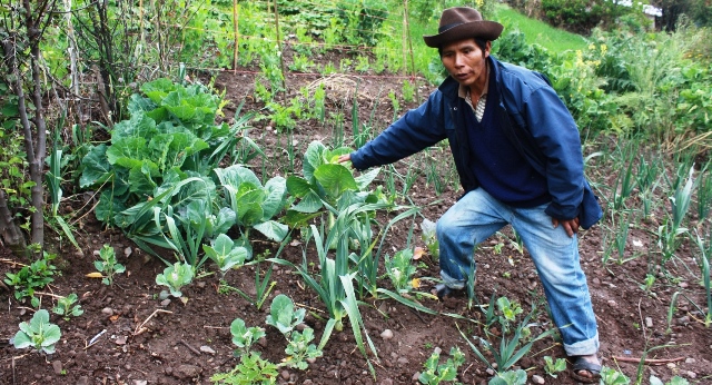 En más de dos décadas Foncodes ha financiado 57 mil obras   