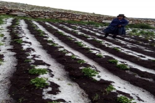 Nevadas y granizo se registrarán en 15 provincias de la sierra de Áncash