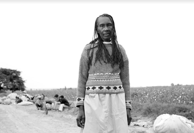 Ministra de Cultura invoca a la ciudadanía a enfrentar con firmeza la discriminación racial