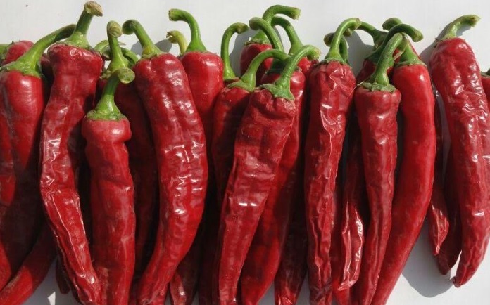 TLC con México dinamizó envíos no tradicionales