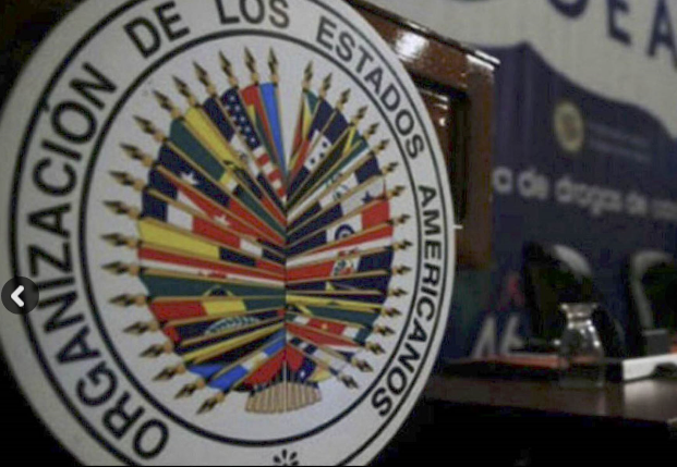 OEA confirma envío de delegación para observar situación política del Perú