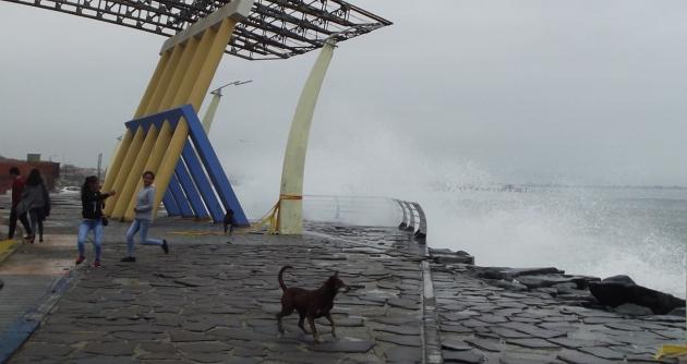 Prevén oleajes ligeros a moderados hasta el lunes 21 a lo largo del litoral
