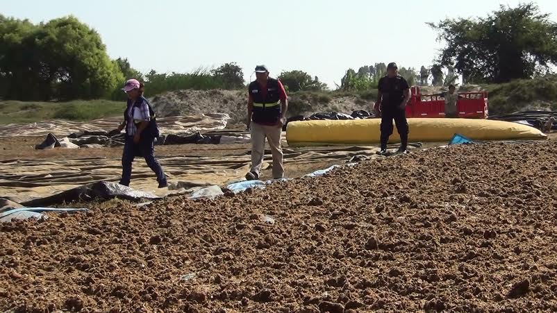 Tangay: Autoridades intervienen zona de secado de pescado en “pampa”
