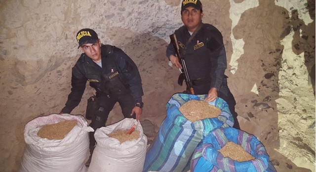 Áncash: Hallan 65 kilos de marihuana en tallos, hojas y semillas, escondidos en una cueva en Chuquicara 