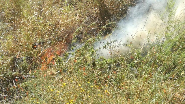En operativo antidrogas descubren más plantaciones de marihuana en la provincia del Santa