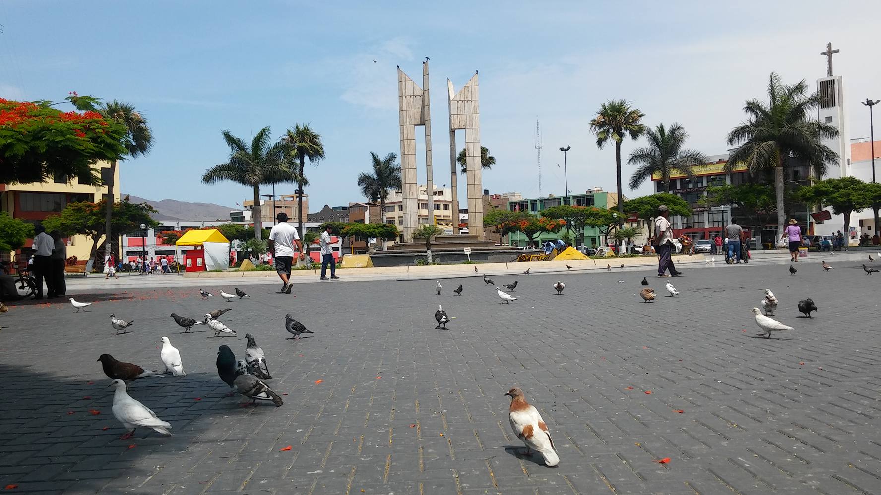 Alcaldesa dijo que le encantaría “exterminar” las palomas de la plaza de armas de Chimbote