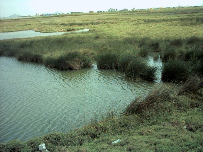 Municipio anuncia instalación de “Cicloruta Verde” en Chimbote 