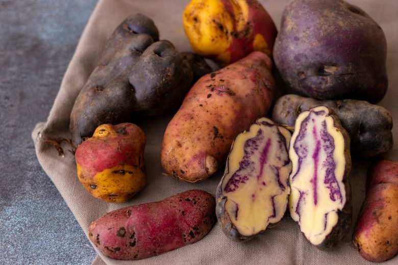  Organización de productores de Junín coloca 600 toneladas de papa nativa en conocida industria de snacks 