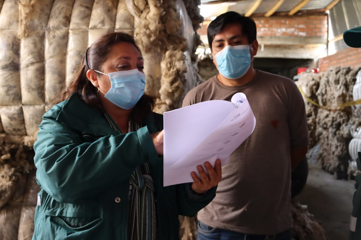 Áncash: productores de Cátac recibirán autorización para exportar lana de ovino