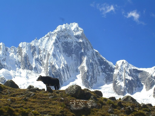Áncash: Realizan operativos en Parque Nacional Huascarán para evitar minería ilegal