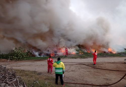 Incendio forestal destruyó cerca de 35 hectáreas de pastizales en Nepeña
