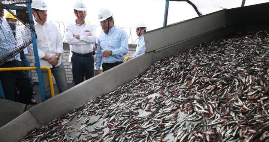 Chimbote: confirman tres años de pena suspendida para patrón de lancha por pesca ilegal de anchoveta