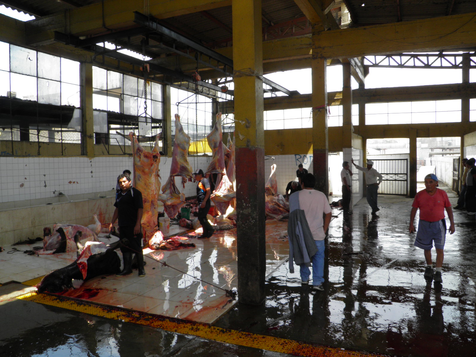 Chimbote: Camal municipal mantiene inoperativa su planta de biogás 