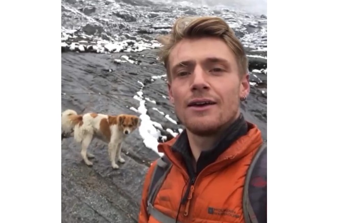 Valiente perrito rescata a montañista inglés que se perdió en los nevados de Áncash 