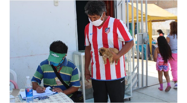 Chimbote: 110 perros y gatos fueron desparasitados en el asentamiento humano “Tres Estrellas”
