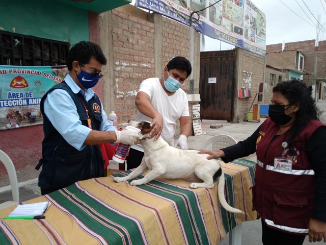 Más de un centenar de mascotas fueron desparasitadas en “Dos de Mayo”