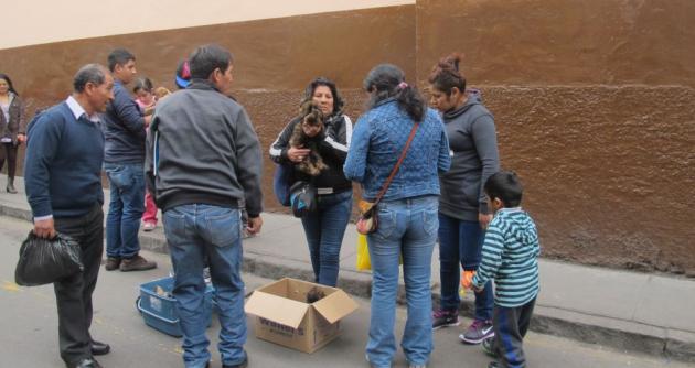 Chimbote: intensificarán operativos para evitar venta de perros en el casco urbano