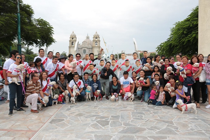 Nuevo Chimbote: 40 canes rescatados por la municipalidad fueron entregados en adopción
