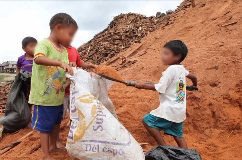 Perú enfocará acciones de lucha contra trabajo infantil en zonas rurales