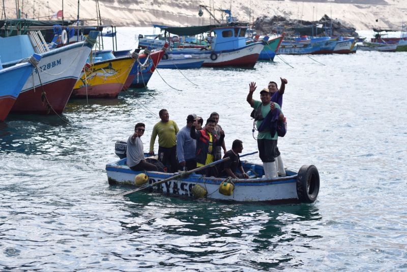 Pescadores artesanales podrán acceder hasta octubre a curso virtual para obtener su carné