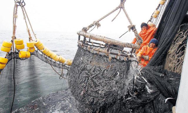   Áncash ocupa el tercer lugar en esta primera temporada de pesca