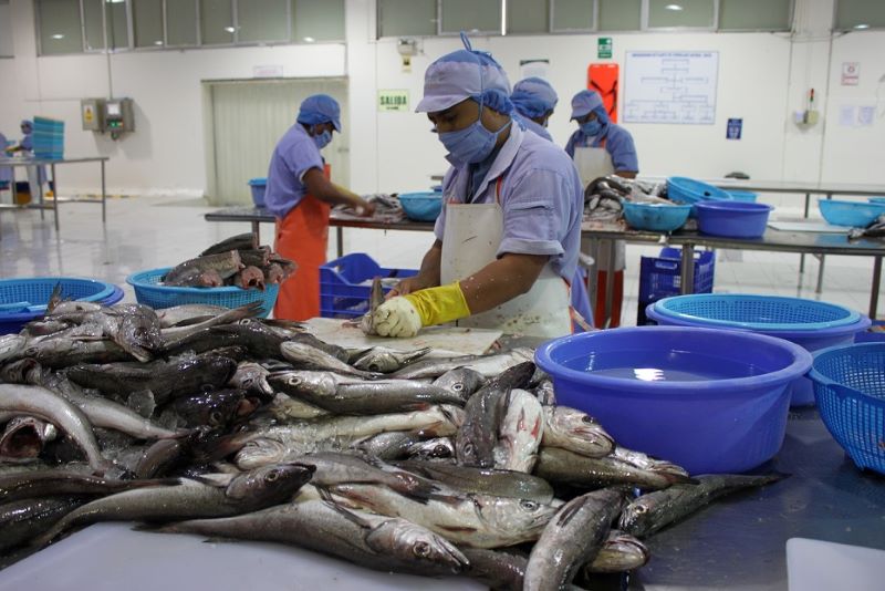 Empleos asociados a las exportaciones crecieron en 10.5%